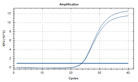 Clostridium butyricum DNA Standard-BNCC