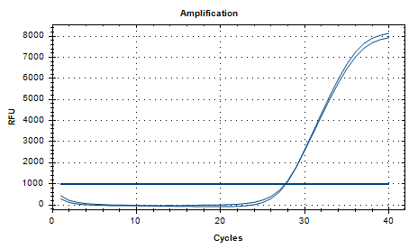 Fecal Prevotella DNA Standard-BNCC