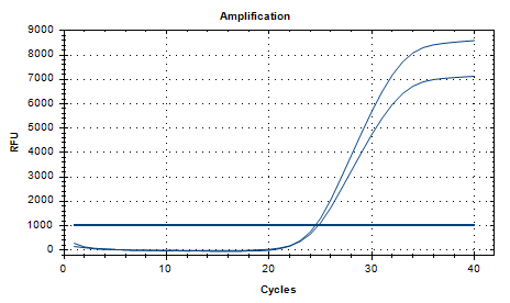Fecal Prevotella DNA Reference Material-BNCC