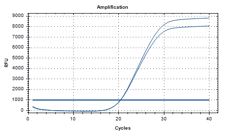 Fecal Prevotella DNA Standard-BNCC