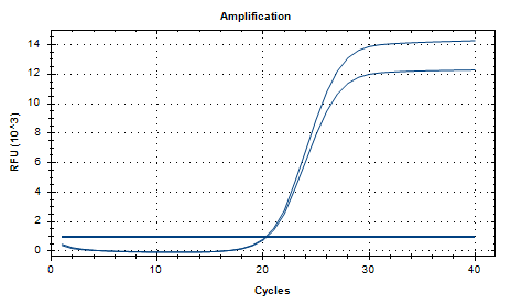 Bacillus licheniformis DNA Standard-BNCC
