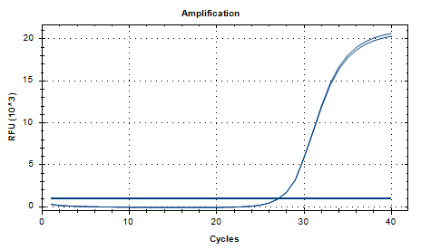 Streptococcus constellatus subsp. constellatus DNA Liquid Internal Quality Control Material-BNCC