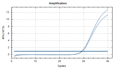 Human Rhinovirus 77 RNA Standard-BNCC