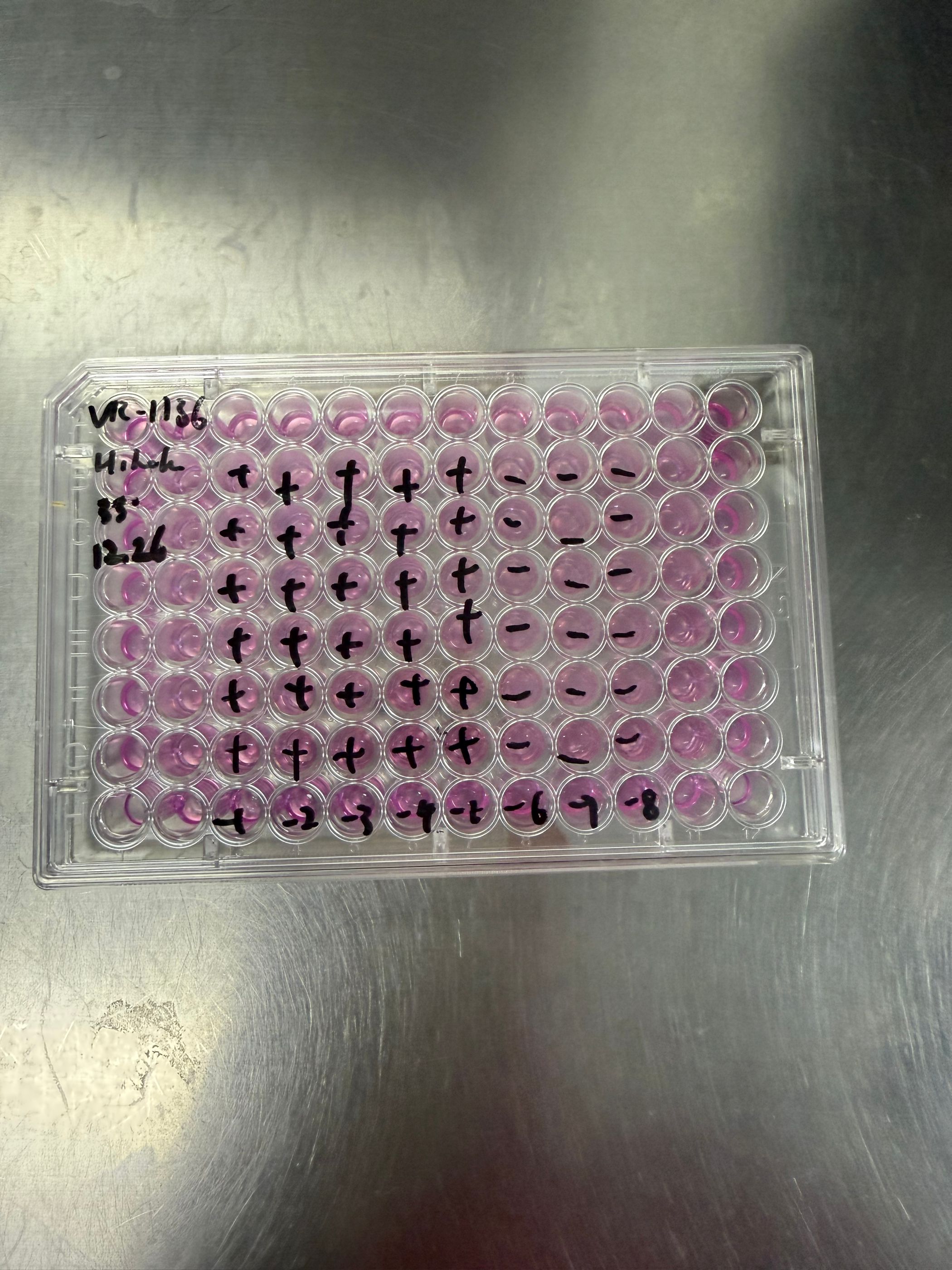 Human rhinovirus 26-BNCC