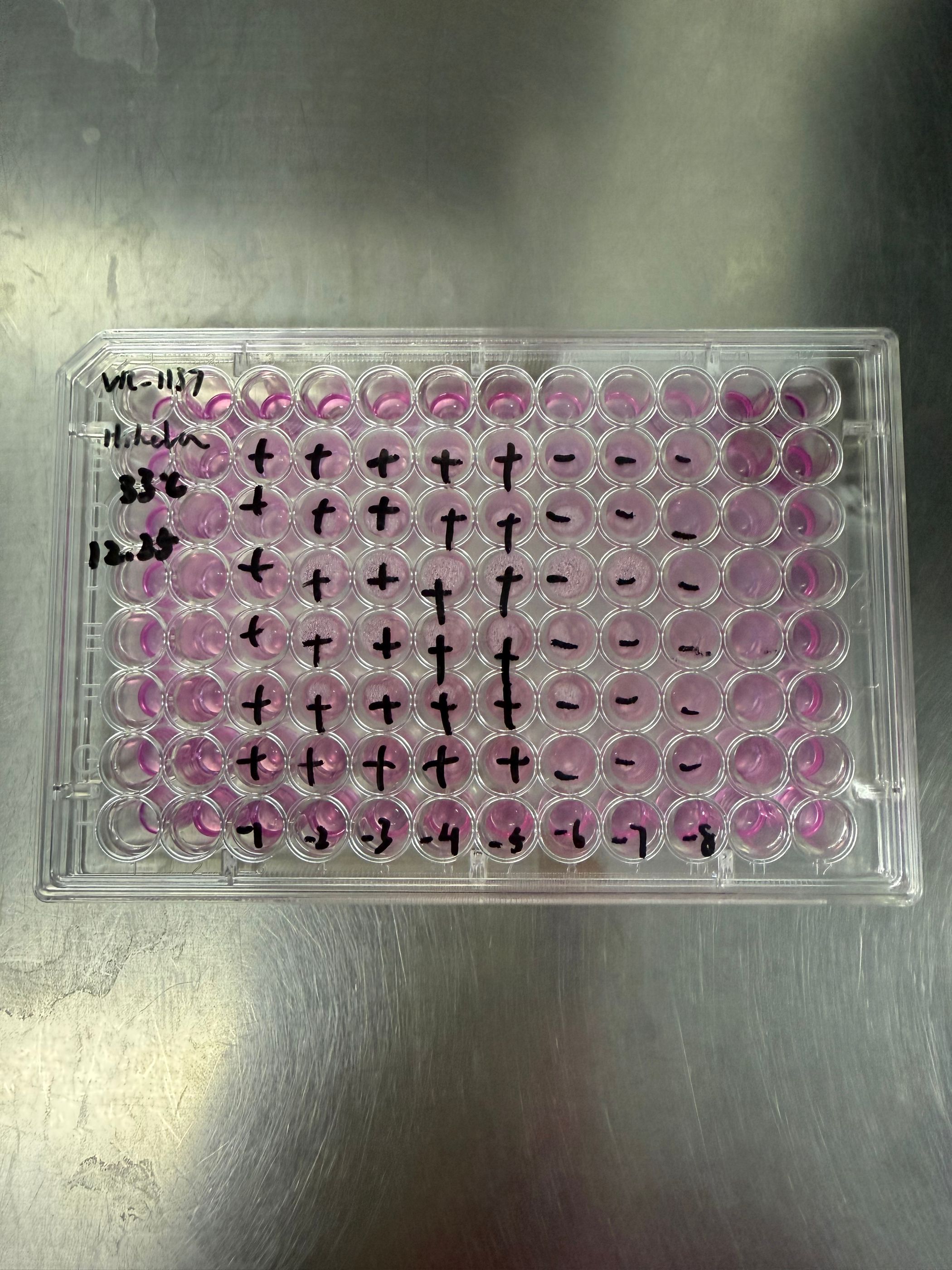 Human rhinovirus 27-BNCC