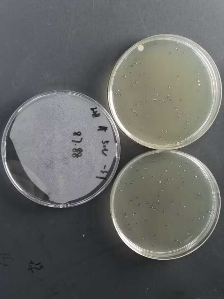 Total colony count standard substance-BNCC