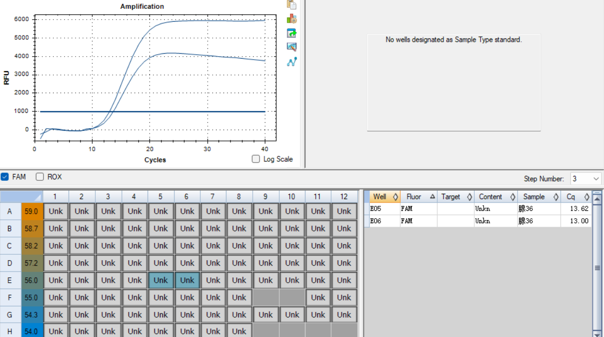 Reference material for human adenovirus type 36 nucleic acid (Heat-inactivated) (strongly positive)-BNCC