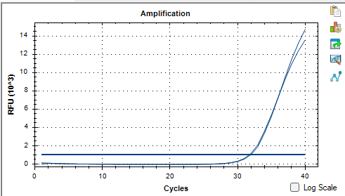 Dual pathway Prevotella DNA standard-BNCC