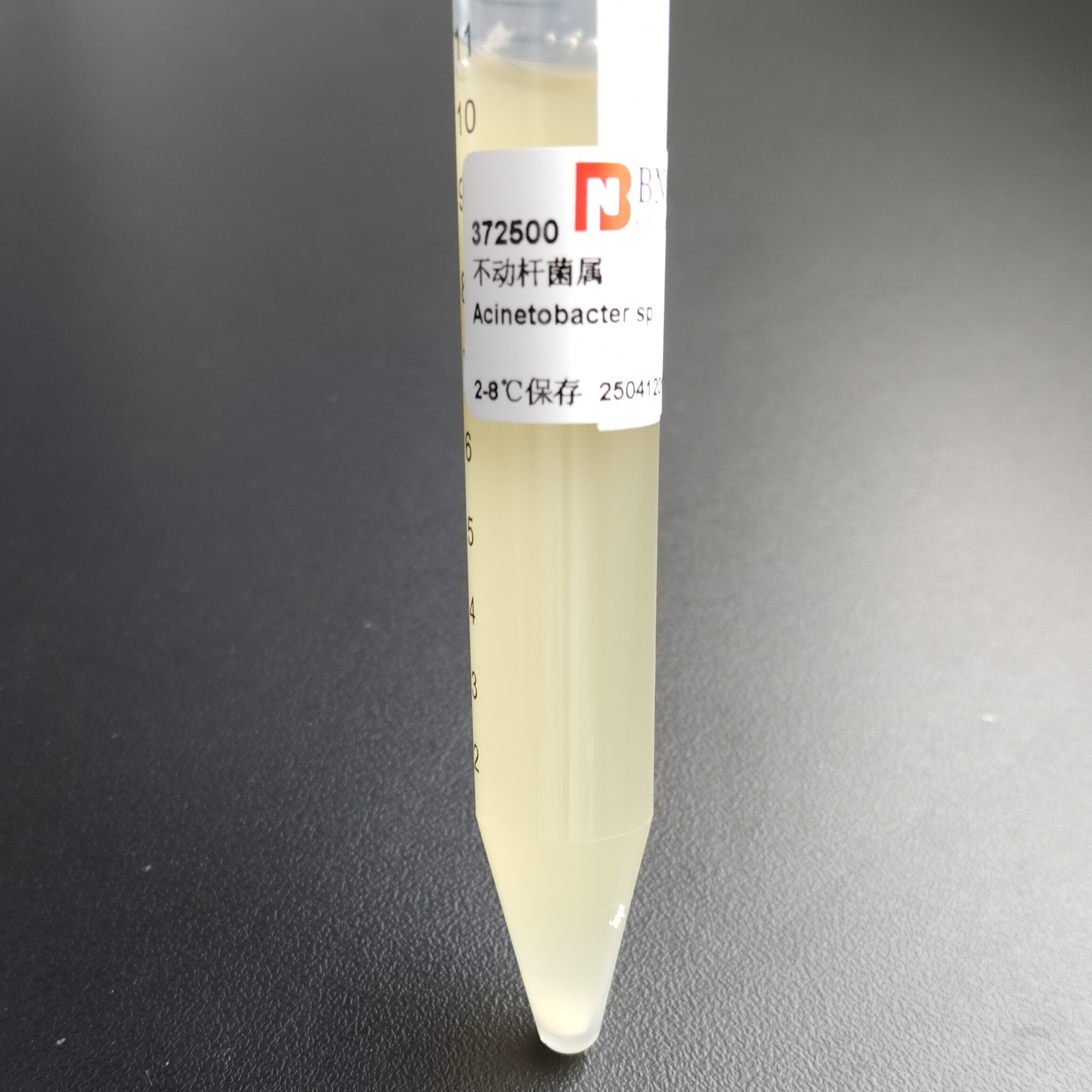 Acinetobacter genus-BNCC