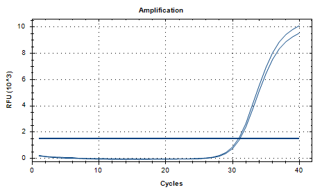 Lactobacillus rhamnosus DNA Standard-BNCC