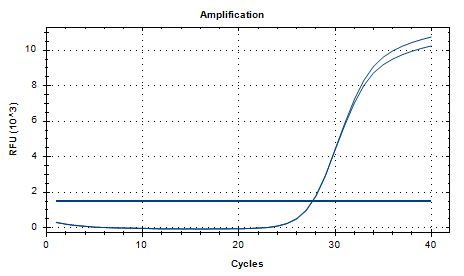 Lactobacillus rhamnosus DNA Standard-BNCC