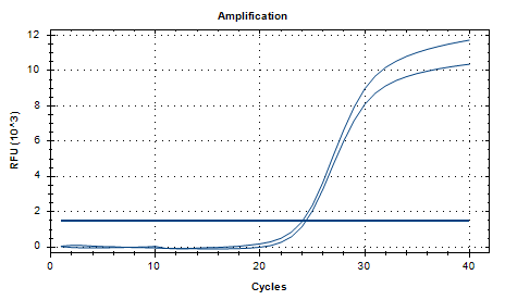Lactobacillus rhamnosus DNA Standard-BNCC