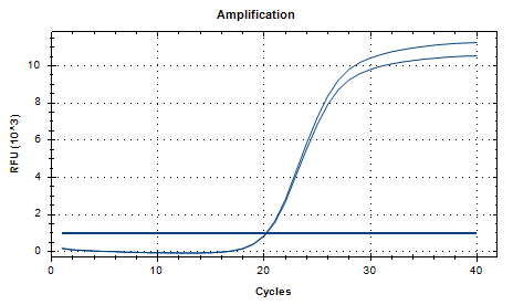 Lactobacillus rhamnosus DNA Standard-BNCC