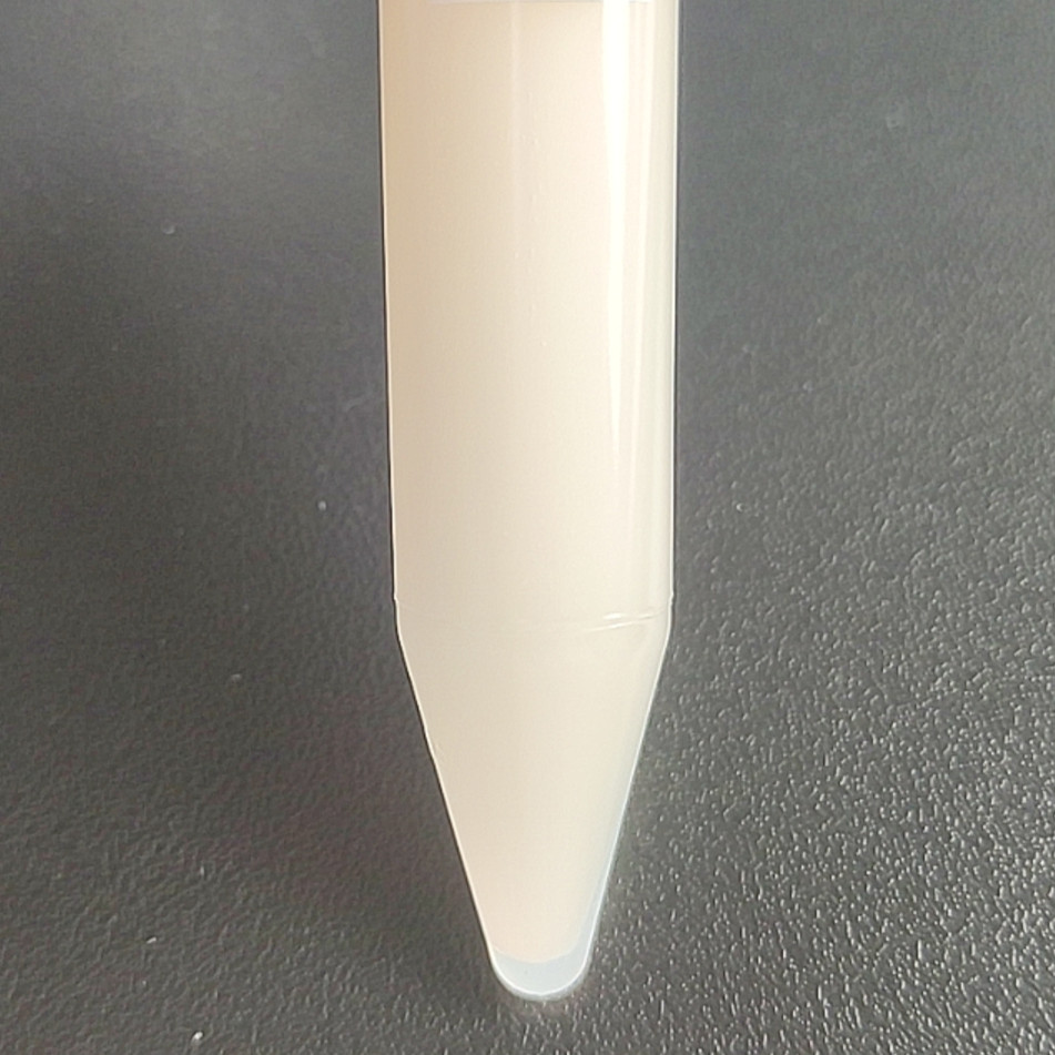 Max Kluwei yeast-BNCC