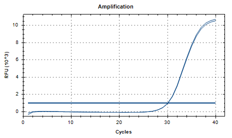 Bordetella parapertussis DNA Standard-BNCC