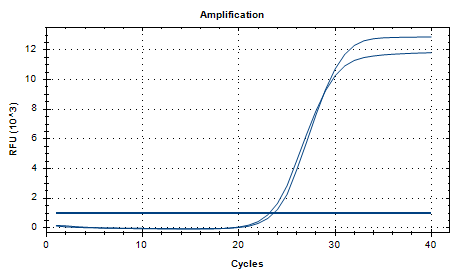 Bordetella parapertussis DNA Standard-BNCC