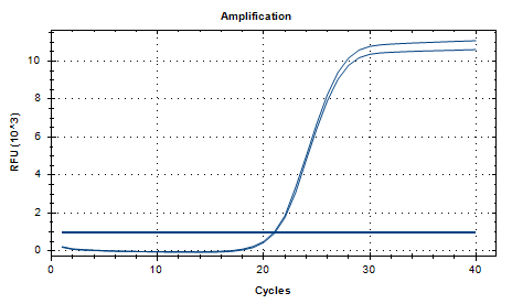 Indoor quality control product for deoxyribonucleic acid of Bacillus subtilis-BNCC