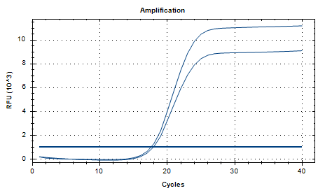 Indoor quality control product for deoxyribonucleic acid of Bacillus subtilis-BNCC