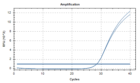 Indoor quality control material for Shigella flexneri deoxyribonucleic acid liquid-BNCC