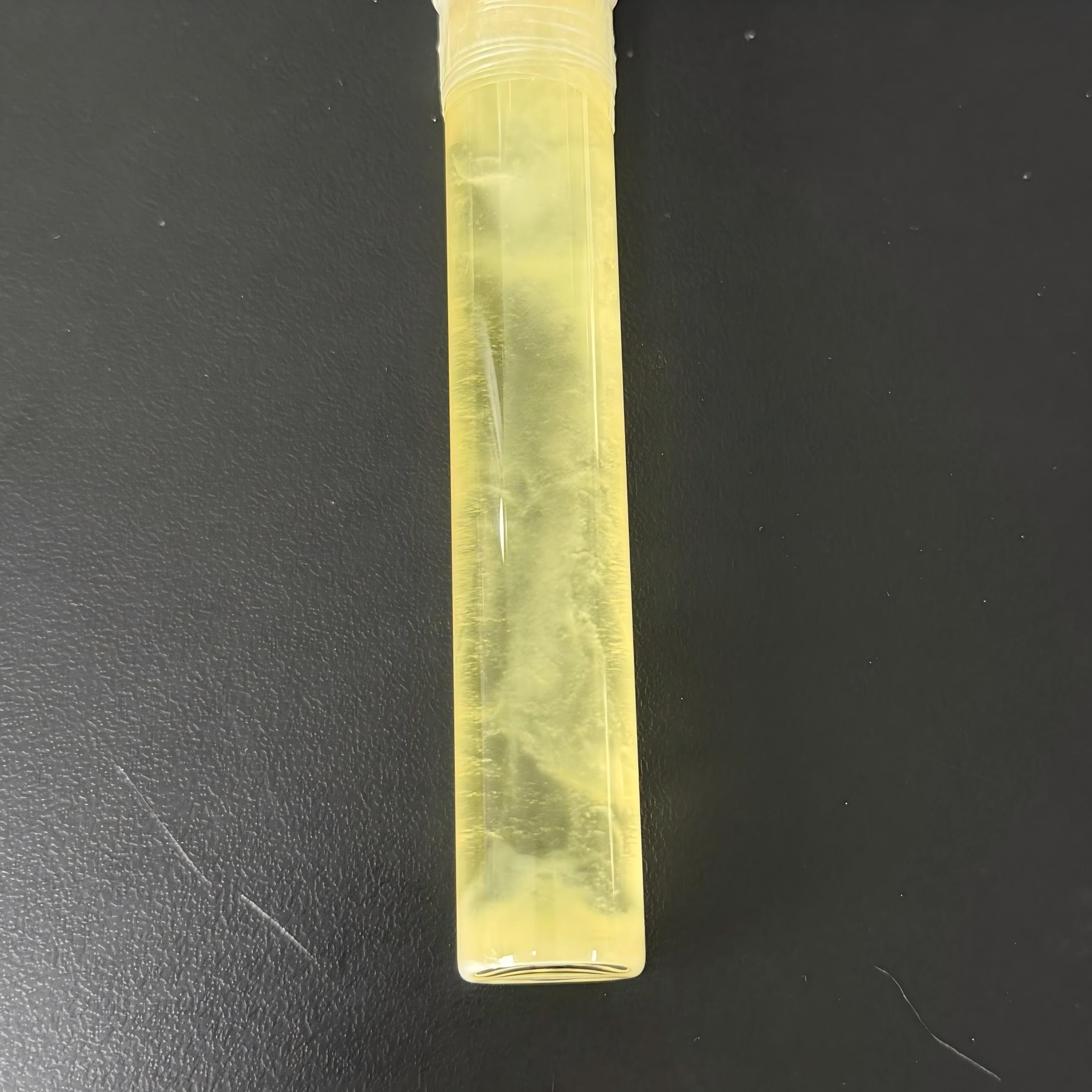 Pseudomonas aeruginosa-BNCC