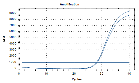 Single Form Bacteroidetes Deoxyribonucleic Acid Liquid Indoor Quality Control-BNCC