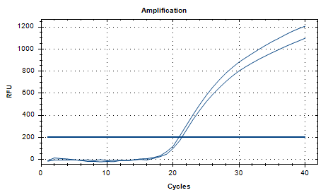 Aspergillus fumigatus Nucleic Acid Reference Material (Thermally Inactivated) (Strong Positive)-BNCC