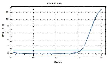 Indoor quality control samples for canine adenovirus type 2 deoxyribonucleic acid liquid-BNCC