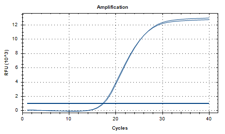 Bordetella pertussis DNA Standard-BNCC
