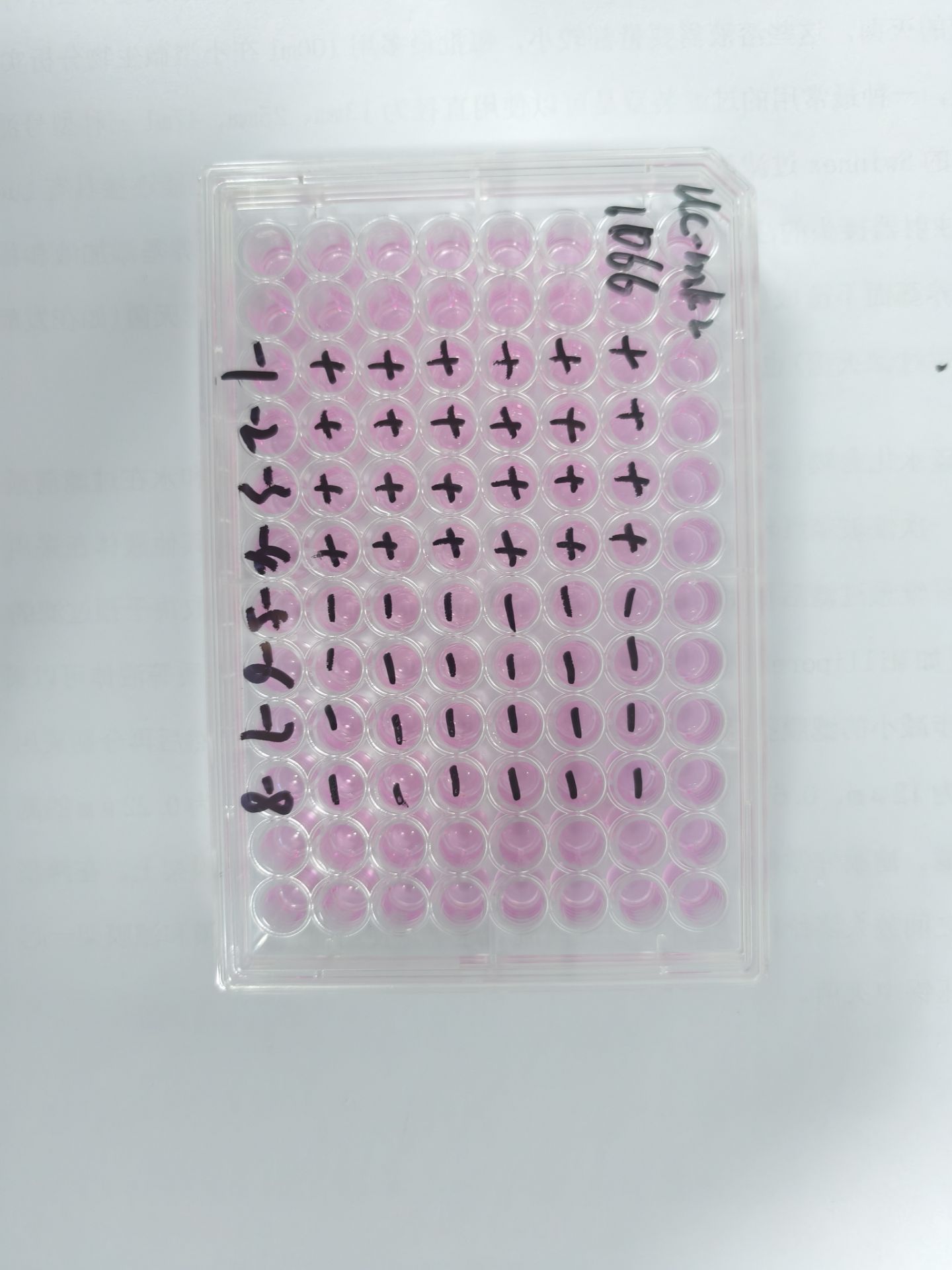 Human echovirus 25-BNCC