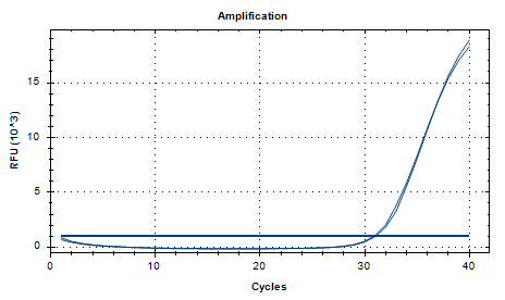 Human Echovirus 6 RNA Standard-BNCC