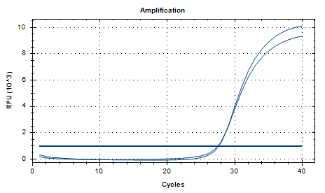 Purple Ergot DNA Standard-BNCC