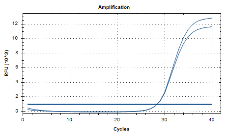 Indoor quality control material for human rhinovirus B72 ribonucleic acid liquid-BNCC