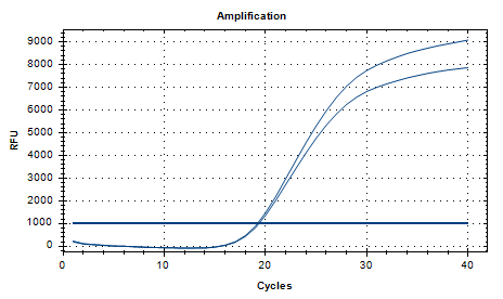 Fragile Bacteroides DNA standard-BNCC