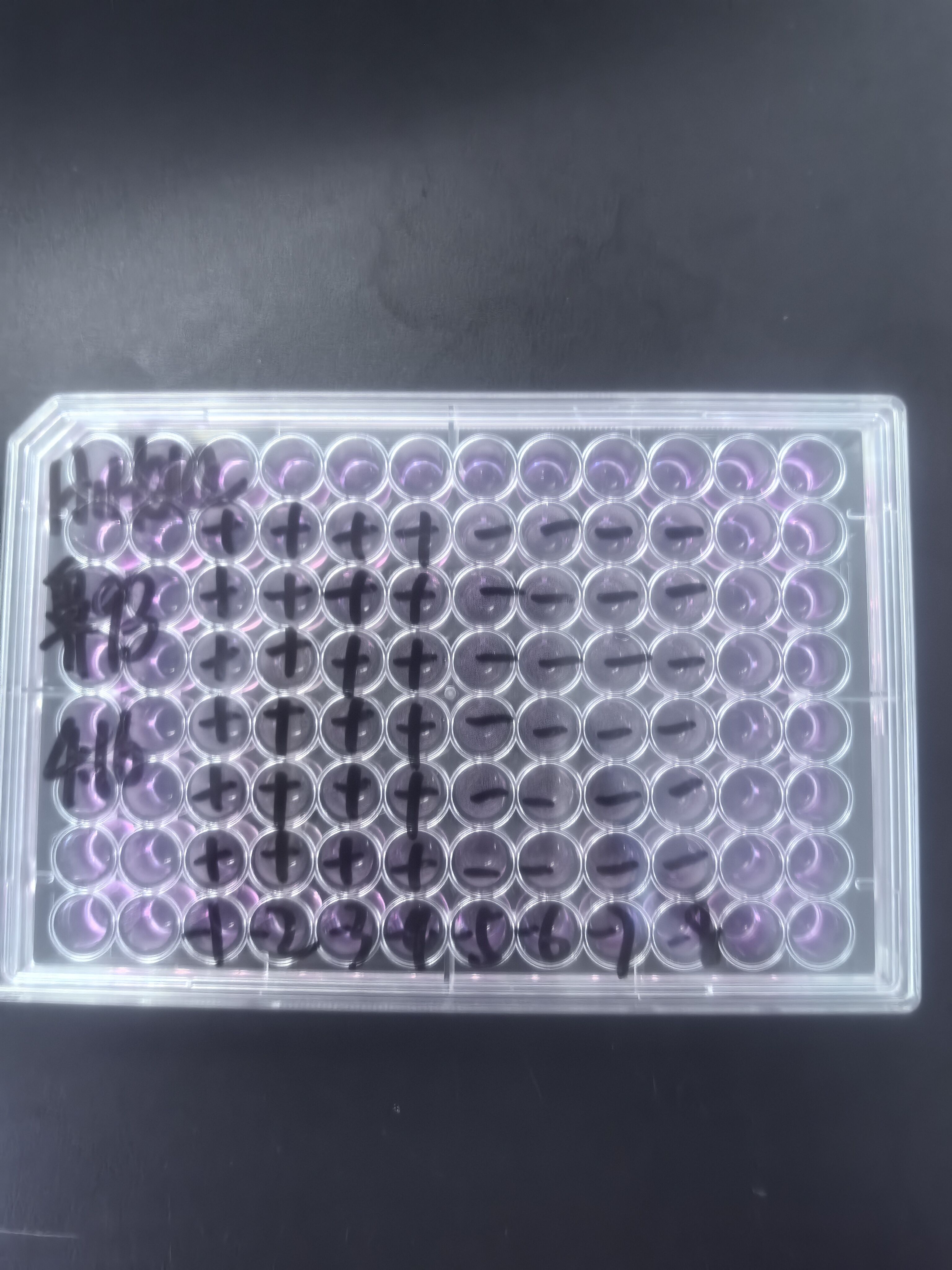 Human rhinovirus 93-BNCC