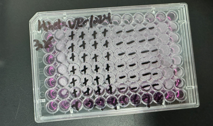 Coxsackievirus A18-BNCC