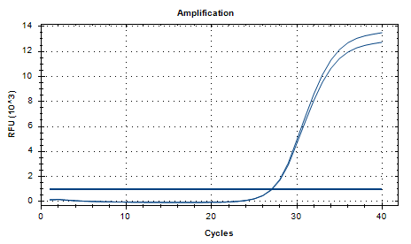 Lachnospiraceae Bacterium DNA Standard-BNCC