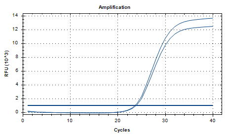 Lachnospiraceae Bacterium DNA Standard-BNCC