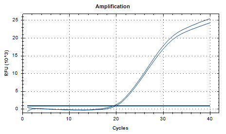 Human Adenovirus Type 33 DNA Standard-BNCC