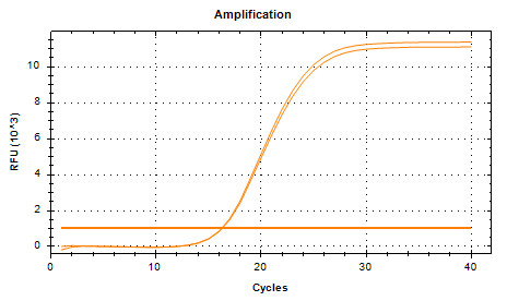 Escherichia coli (chuA) DNA Standard-BNCC