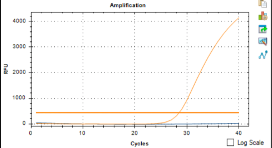 Human Mastadenovirus 48 DNA Standard-BNCC