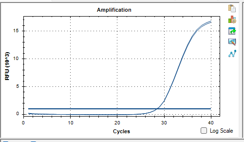 Dual pathway Prevotella DNA standard-BNCC