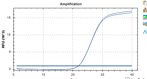 Dual pathway Prevotella DNA standard-BNCC