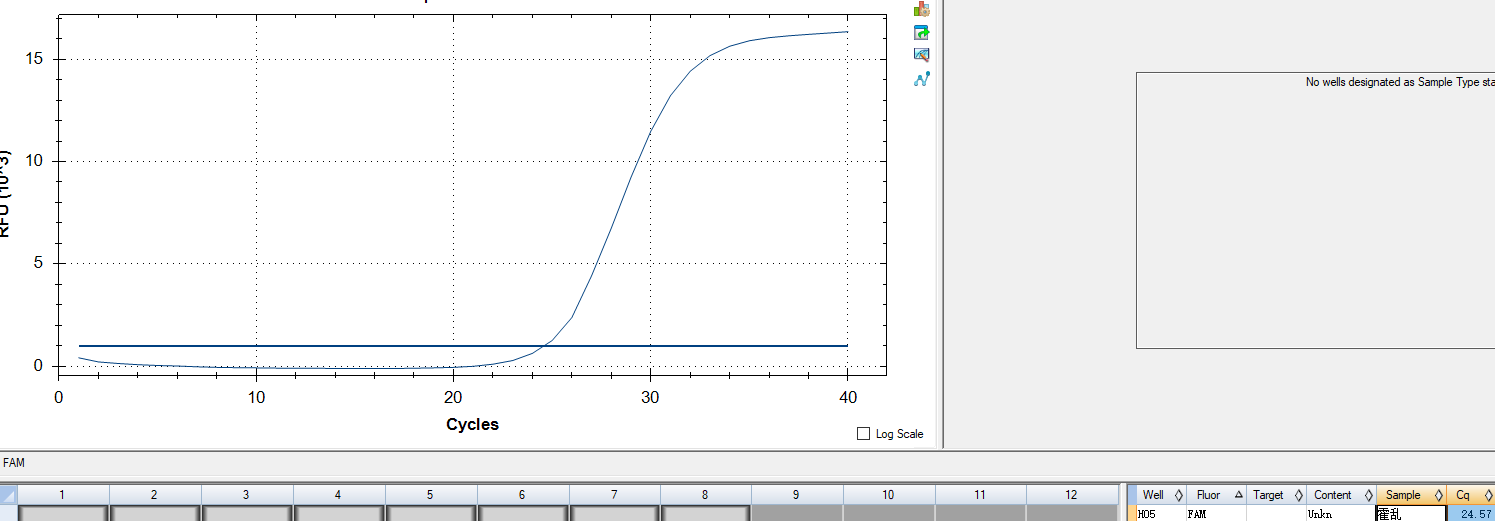 Vibrio cholerae DNA standard-BNCC