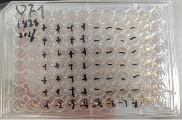 Avian Leukosis Virus-BNCC