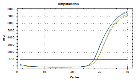 Foot and mouth disease virus O-type/A-type RNA standard-BNCC