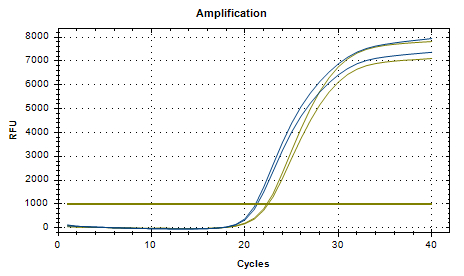 Foot and mouth disease virus O-type/A-type RNA standard-BNCC