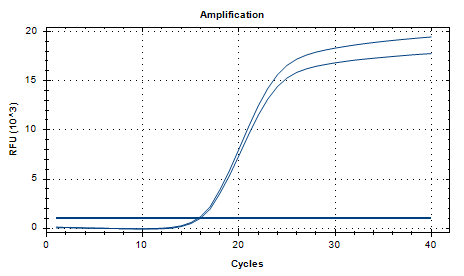 Dual-Pathway Prevotella DNA Liquid Internal Quality Control Material-BNCC
