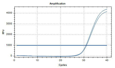 Indoor quality control product for deoxyribonucleic acid liquid of Shigella like bacteria-BNCC