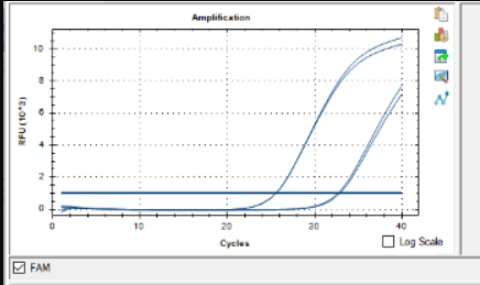 Indoor quality control material for influenza B virus (BY) ribonucleic acid liquid-BNCC