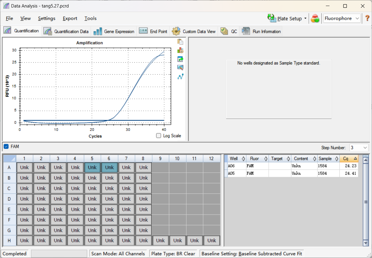 Dengue virus type 2 nucleic acid reference substance (Heat-inactivated) (strongly positive)-BNCC